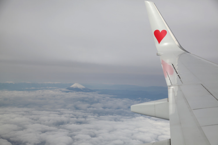 飛行機からの景色