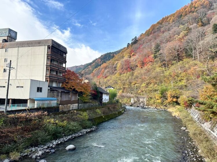 木曽福島いわや　後ろの川